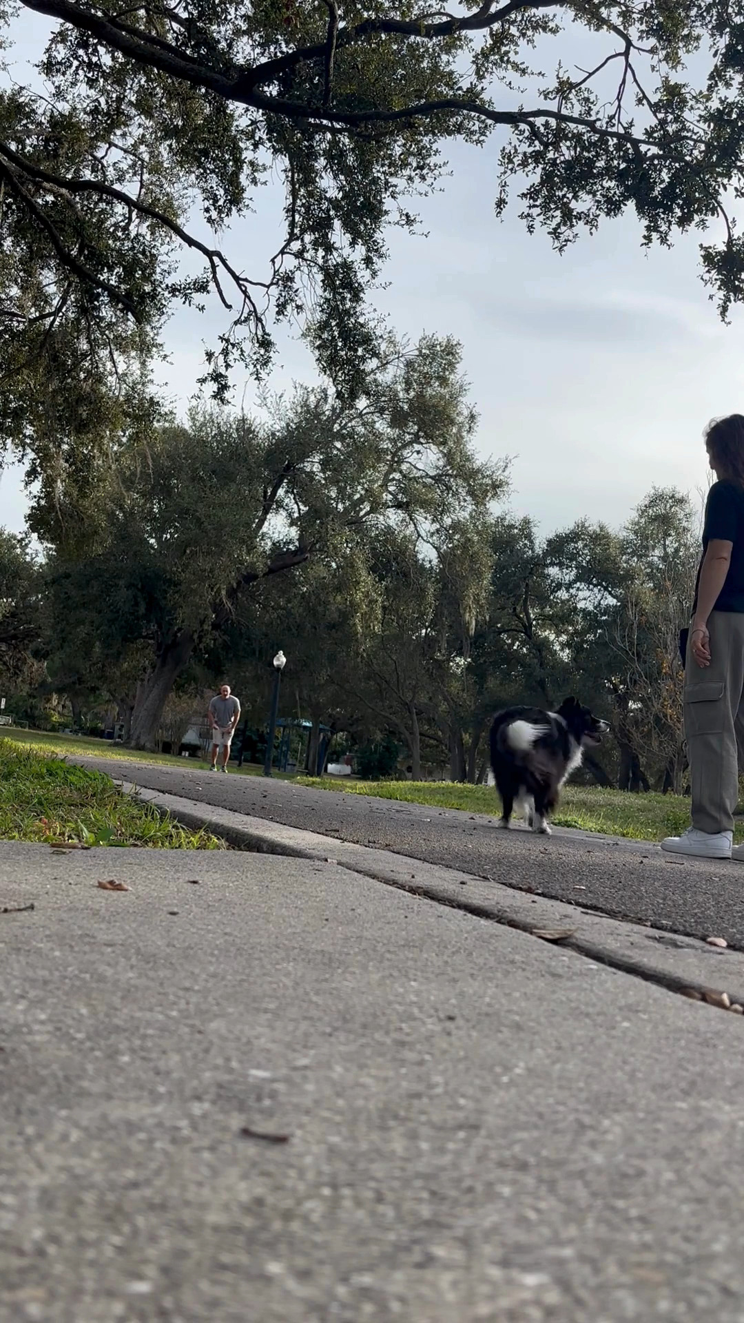 Busy environments are where recall really counts 🐾 Puff is coming back on cue when Liana and Joe call her in, even with distractions around. Teaching dogs where to go and when makes a huge difference in real life whether that’s calling your dog away from the street, out of a tense dog interaction, or back to you on an off-leash adventure.
This kind of clarity helps dogs respond when it matters most.
👉 Where would a stronger recall make the biggest difference for you and your dog?
#LianaFitCanineConditioning #VirtualDogTraining #ConfidentCanine #PositiveReinforcement #RealLifeTraining