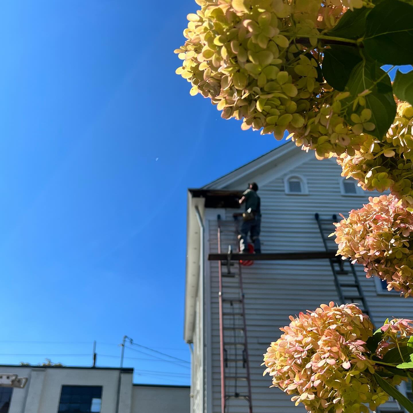 Last week's severe weather paused our work, but we've resumed re-installing the roof overhang in @downtownhopewell .
Happy Monday everyone!