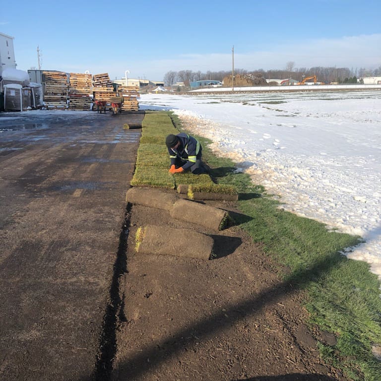 After the first snowfall the boys were able to do a small sod job on a commercial property.