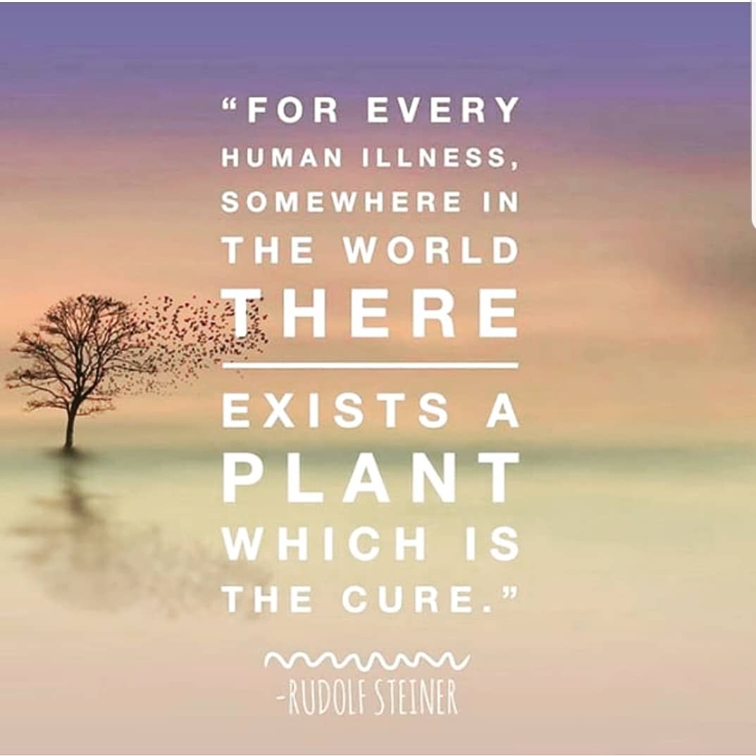 The only way to fight the Corona virus is by making our immune system stronger.
Take vitamin C 🍊
Do exercise 🤸♂️
Drink water 💧
Eat healthy 🌱
Take CBD 🍀
Sleep well 😴
Be happy 😊
Think positive 🌈
#cbd #cannabis #hemp #cbdoil #thc #cannabiscommunity #weed #marijuana #cbdhealth #cbdlife #cannabisculture #cbdheals #cbdmovement #cbdproducts #hempoil #organic #health #hightimes #wellness #cbdflowers #life #cannabidiol #cbdcommunity #dropoflife #planttrees #seeds #dropoflifecbd #dropoflife #lovelife #cbdisolate