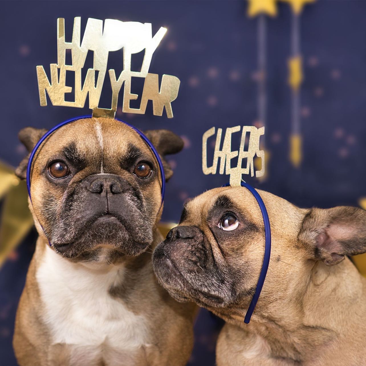 Happy New Year! ⨠2ļøā£ 0ļøā£ 2ļøā£ 3ļøā£ āØ