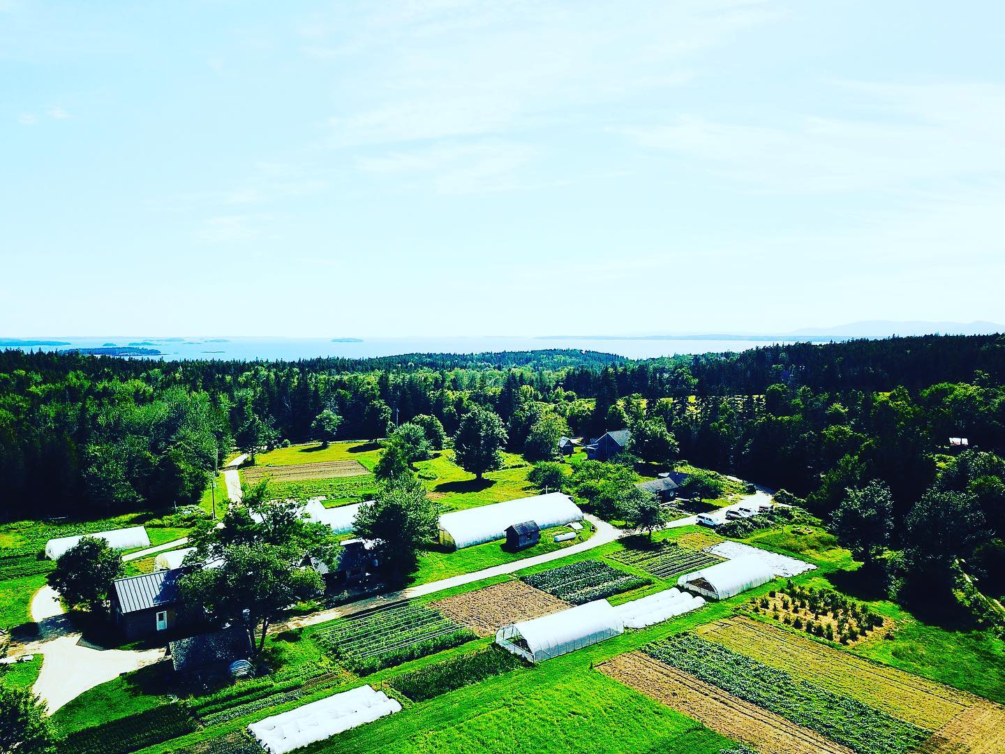 Dreaming of spending some time at Four Season Farm this fall? The Meadow House sits on the edge of the farm property and comfortably sleeps 6 guests. There are still plenty of openings available for a farm stay this September and October, which is also the best time of year to visit Maine and the surrounding area since most of the summer crowds are gone. Check out all the details in link in profile.
#meadowhouseatfourseasonfarm #farmstay #maine #fourseasonfarm