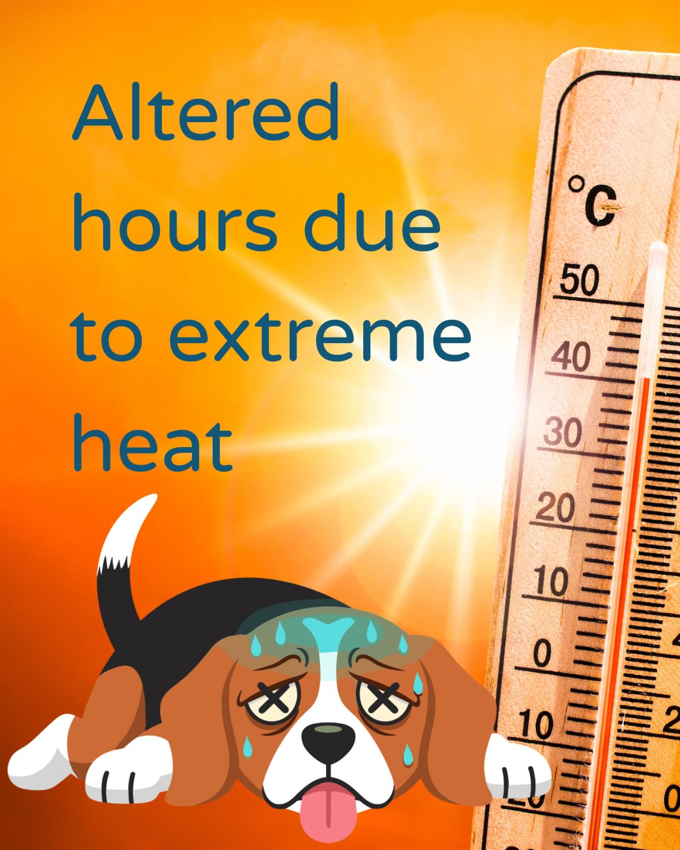 At Rehab 4 Pets the welfare and safety of your pets is always our top priority.
Due to a forecast top of 44 degrees here in Kilsyth tomorrow the clinic will close during the hottest part of the day. Early morning and evening appointments are still available.
Keep your furry friends cool tomorrow, plenty of water and shade ⛱️
#dogrehab #caninehydrotherapy #petsafety #kilsyth