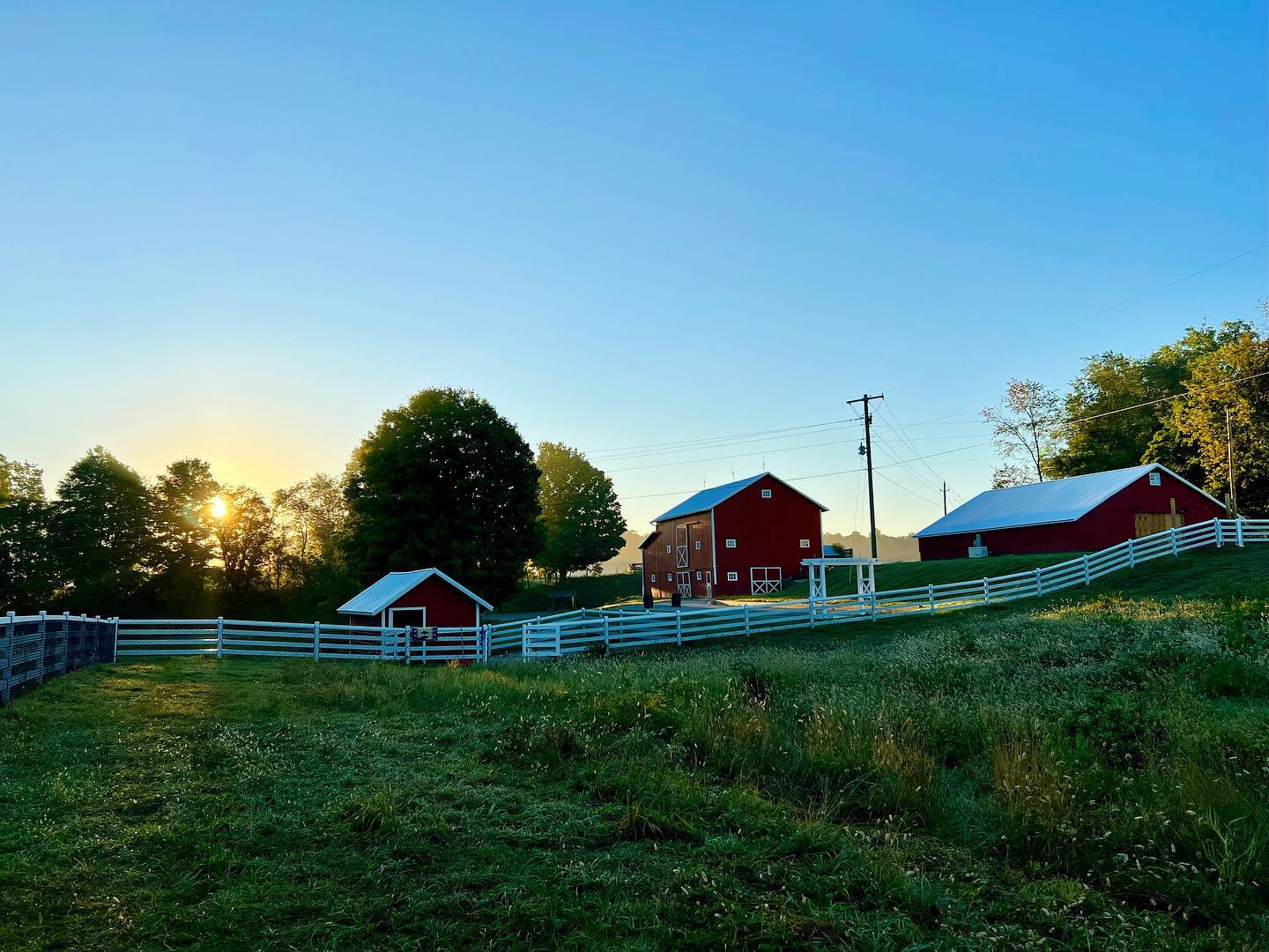 Beautiful sunrise here at the red barns ☀️ We actually have 6 red barns on the property.
The three seen here include the horse stable, and the main “big red barn” & “party barn” for receptions & celebrations.
If we were to look to the left, there’s a small red barn for the Very Important chickens, a small red barn for hay, & a medium red barn for farm storage & @embreeswoodwork wood shop!
So that’s why we’re The Red Barns 😁
