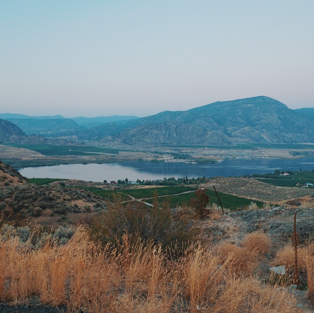 Throughout the year, Ralph drives his semi truck to the Okanagan and visits our farmers, inspects, picks up and delivers fresh Okanagan produce to our G.A.P. (Good Agricultural Practices) approved harvest ready packaging facility in Langley, B.C..
#OsoyoosBC #Osoyoos #FraserValleyEats #HealthyDiet #Orchard