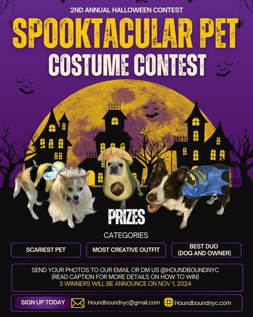 Hound Bound NYC
2nd Annual Halloween pet costume contest
👻🦴”Spooktacular Pet Costumes”🎃🐶
**How to Enter**:
Participants will submit photos of their pets in costumes via @houndboundnyc instagram DM or email us houndboundnyc@gmail.com
We will share your pet photos via social media and our followers will vote their favorite pet costume. The pet with the most votes will be a winner.
Winners 🏆 will be announced on November 1, 2024. Via instagram post and story
### Contest Categories
- Best Overall Costume
- Funniest Costume
- Most Creative Costume
- Best Duo (dog and owner)
- Scariest Costume
### Prizes
**1st Place**:
- $100 Gift Card
**2nd Place**:
- A “Doggie Bag” full of cool stuff for you and your boo!
**3rd Place**:
-$30 towards any service at Houndboundnyc
Here are some ideas to make it a success:
### Costume Ideas
1. **Classic Characters**: Think superheroes, pirates, or witches.
2. **Funny Costumes**: Hot dog, taco, or a “dogtor.”
3. **Pop Culture Icons**: Celebrity lookalikes or movie characters.
4. **Matching Costumes**: Owner and dog themed outfits (like a pair of superheroes).
5. **DIY Costumes**: Encourage creativity with homemade outfits.
### Safety Considerations
- Ensure costumes are comfortable and don’t restrict movement.
- Check for any small parts that could be a choking hazard.
- Keep an eye on pets to prevent any stress.
Enjoy the contest! 🎃👻🏆
#SpooktacularPets2024 #contest #halloween #pet #houndboundnyc