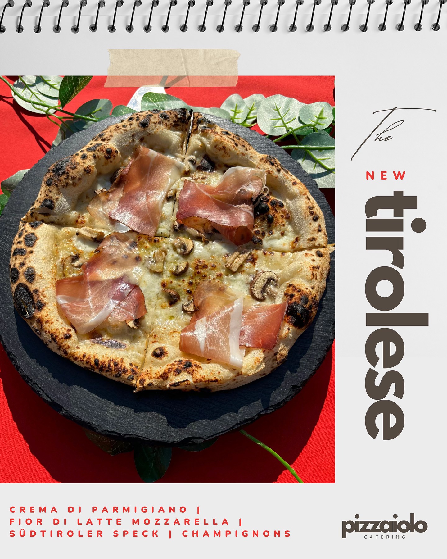 Unsere neue „Tirolese“✨🤩 Cremige Parmesancreme als Base - belegt mit Fior di Latte Mozzarella, Champignons und frischem Südtiroler Speck😋
🍕Du bist noch auf der Suche nach einem Highlight für deine nächste Party oder Hochzeit? 👉🏽 FÜR MEHR INFORMATIONEN UND ANFRAGEN:
🛜 www.pizzaiolo-catering.de
✉️ pizzaiolocatering.schwandorf@gmail.com
📞 015679262184