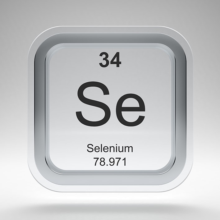 FOOD SOURCES OF SELENIUM
Selenium supports the physical body in many crucial ways. It is a powerful antioxidant that fights and prevents cancer. It is needed for healthy thyroid function. It can help treat asthma, and protects against heart disease. It boosts cognition, fertility, and...THE IMMUNE SYSTEM!
Found most concentrated in the following foods: • Brazil nuts
• Brown rice
• Free range eggs
• Mushrooms
• Sunflower seeds
• White fish (yellowfin tuna, mackerel, etc)
• Oysters
• Salmon
• Oatmeal
• Baked beans
• Sunflower seeds
• Spinach
• Chicken
• Turkey
• Lentils