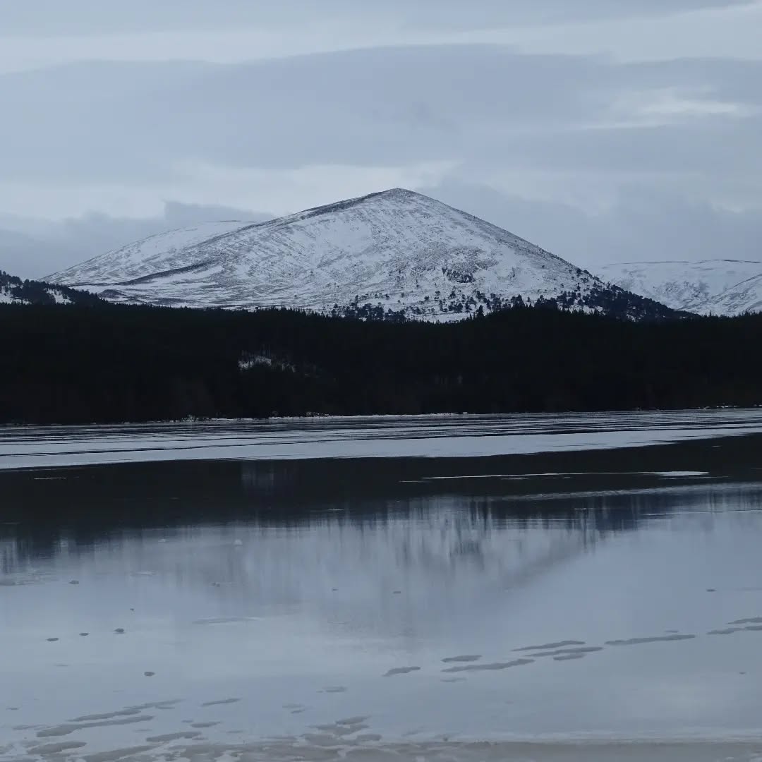 A little too icy for a paddle this morning... BUT how beautiful would this spot be in the summer months ššš
#paddleboarding #lochmorlich #winterwonderland #snow #paddle #winter #scotland