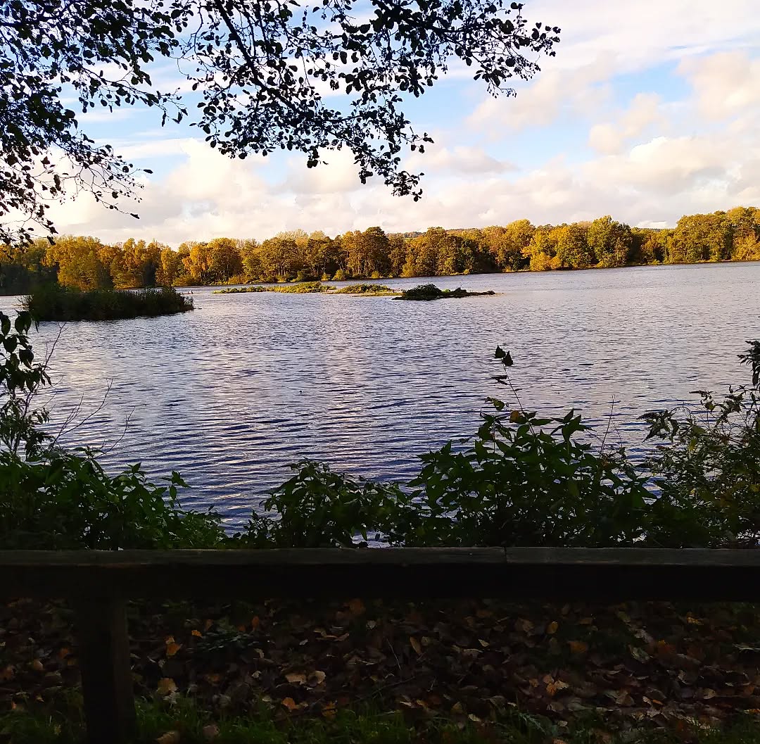 Wildlife Reserve