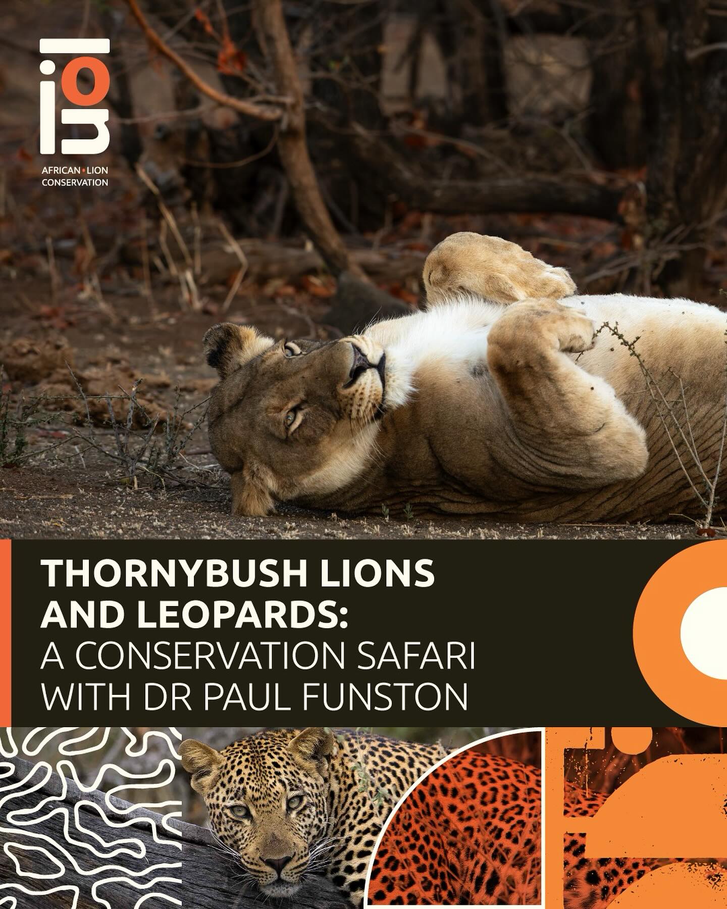 Hello fellow lion enthusiasts, safari and nature lovers, and avid photographers, I’m proud to announce that I have limited spots available on two conservation safaris in April and September/October 2026 at a great rate of $2400/person for four nights. South Africans pay R37,000.
If you love the lowveld, want to learn more about lions and leopards from an internationally recognised expert and seasoned conservationist, and take epic photographs, send me a direct message with your email address and I will forward the details to your inbox.
Please share this post with anyone who might be interested in joining one of these exclusive safaris. Let lions roar and come learn about 🦁🦁 with me!
#ThornyBush #AfricanLionConservation #Safari #LetLionsRoar