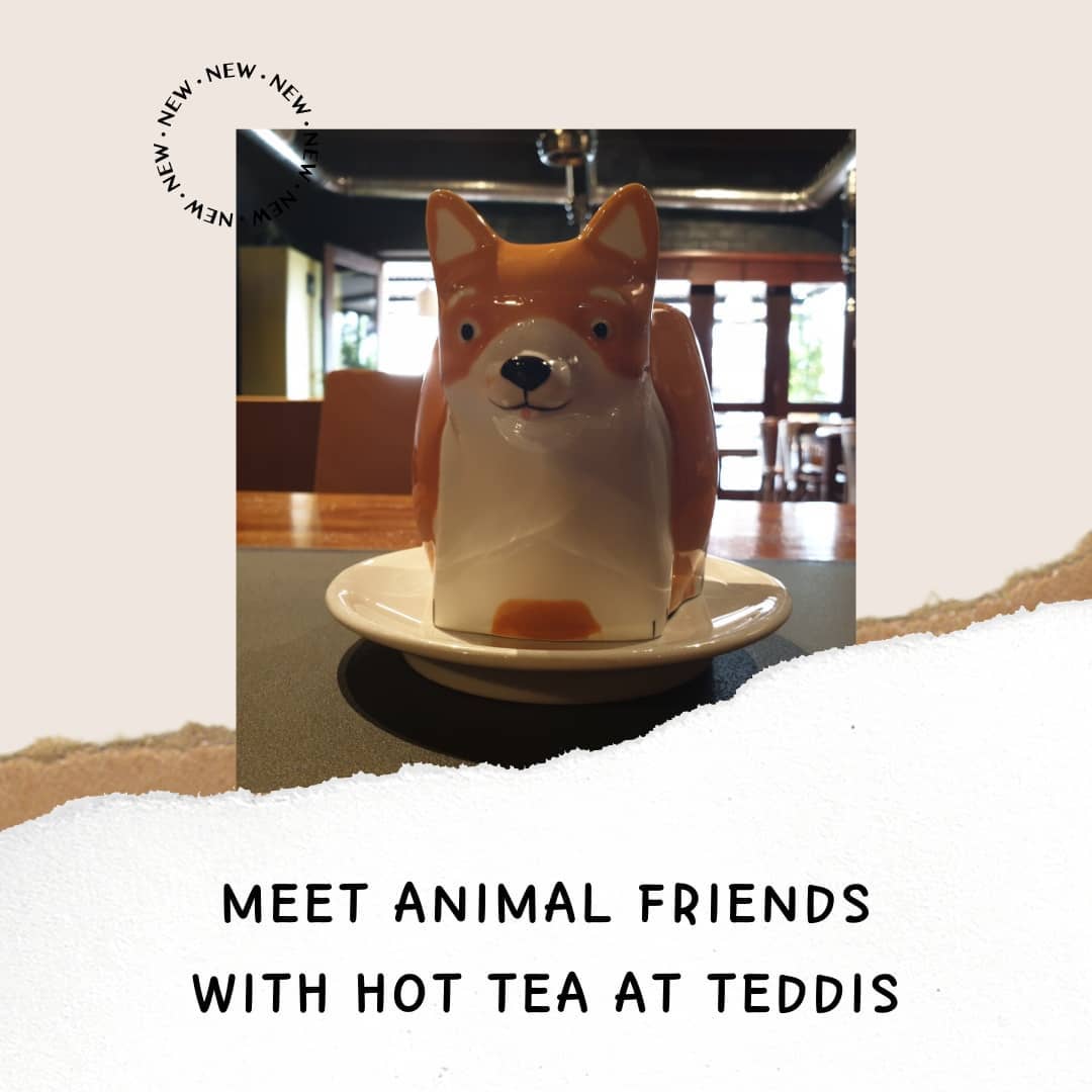 Meet animal friends with hot tea :)