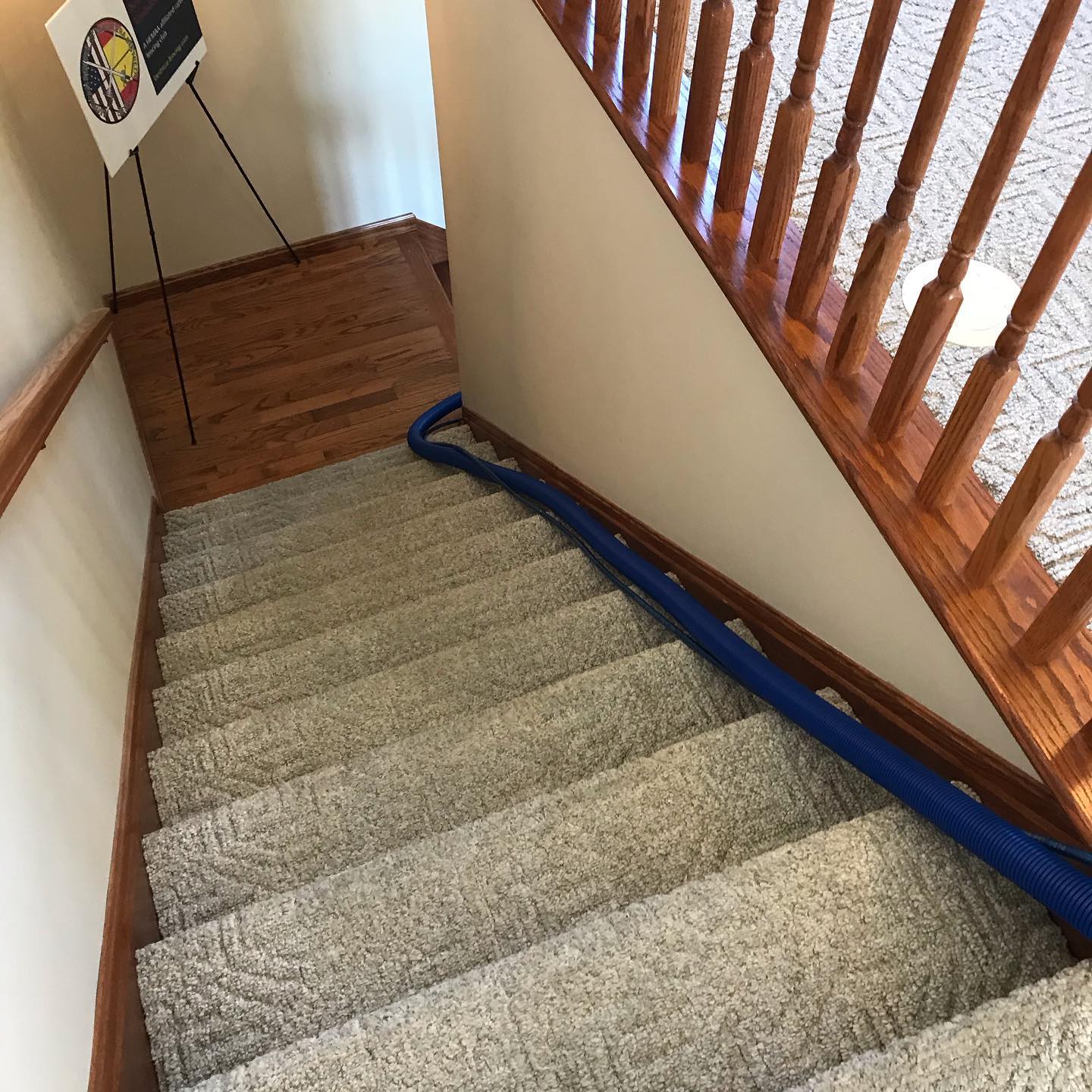 4 rooms + stairs/hallway carpet cleaning in Medina, OH