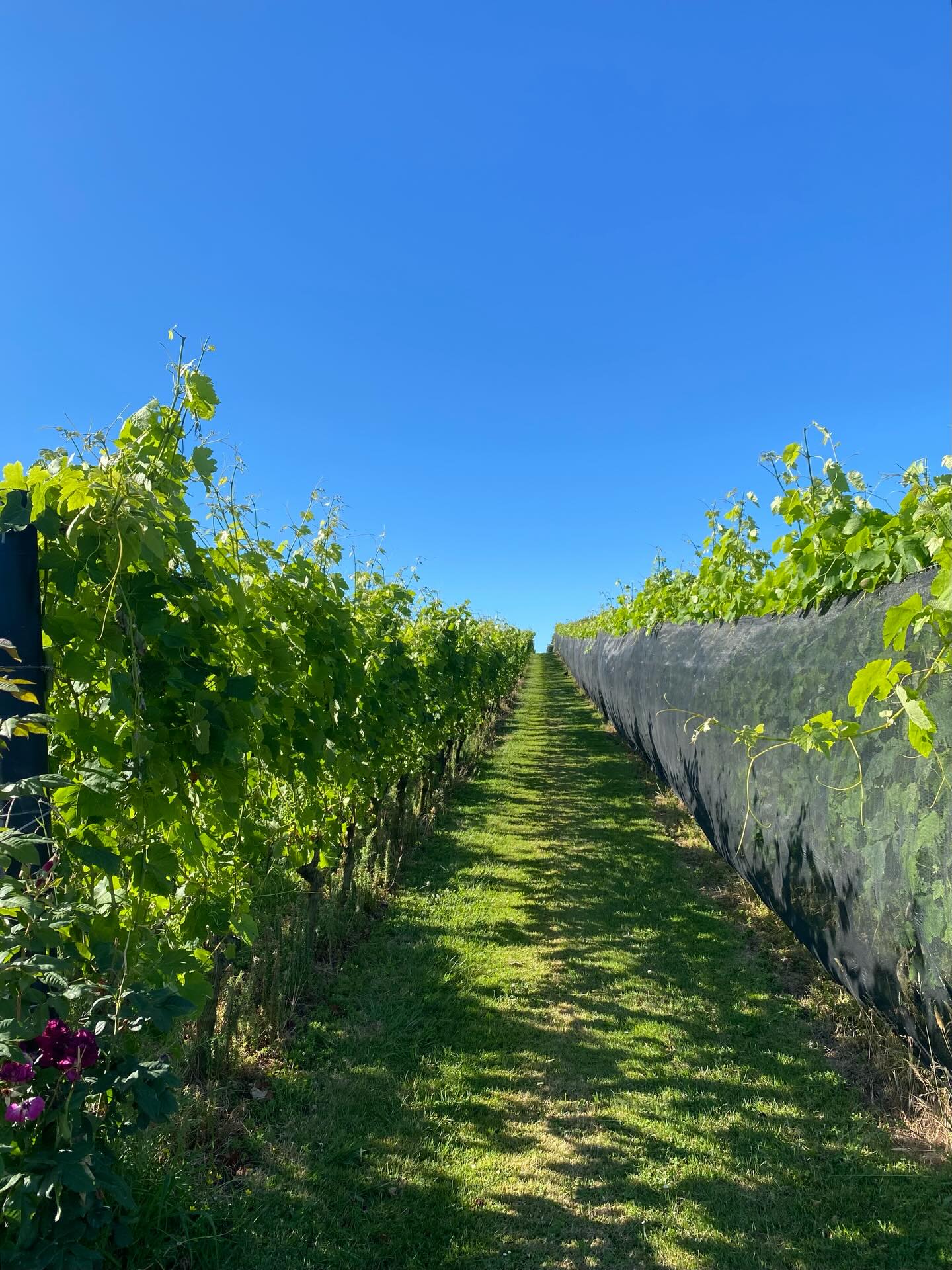 A very late post from our Christmas work do on the 7th of December last year, but one worth sharing! 2025 was a huge year of growth for YUDUYU, and I’m so proud of this team and everything we’ve built together.
So grateful for the way we’ve grown and so excited to keep nurturing the good energy into the year ahead. And a massive thank you to Tantalus for the incredible food and for looking after us so beautifully 🫶🏼✨