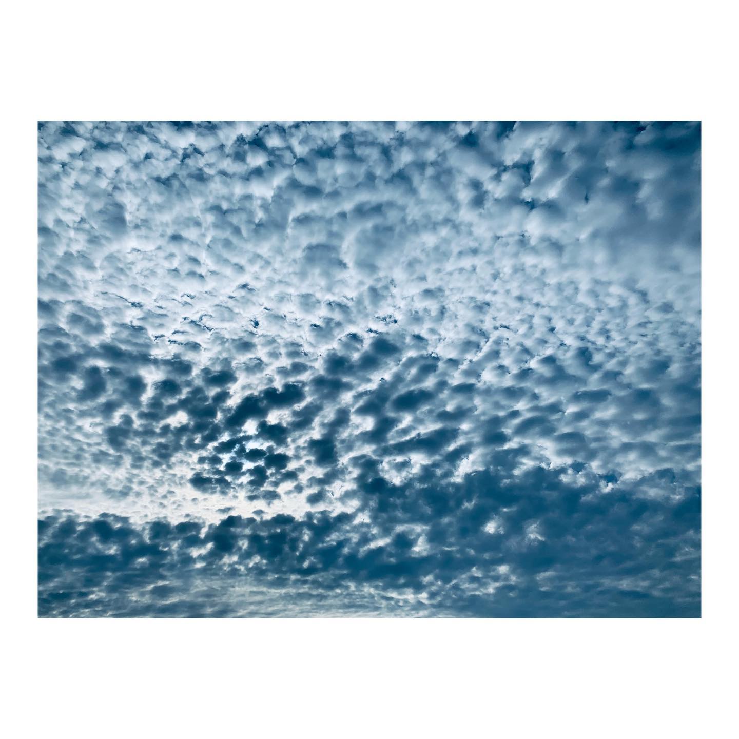 Azul de algodon 🤍
#azul #ciel #sky #natureinspirations