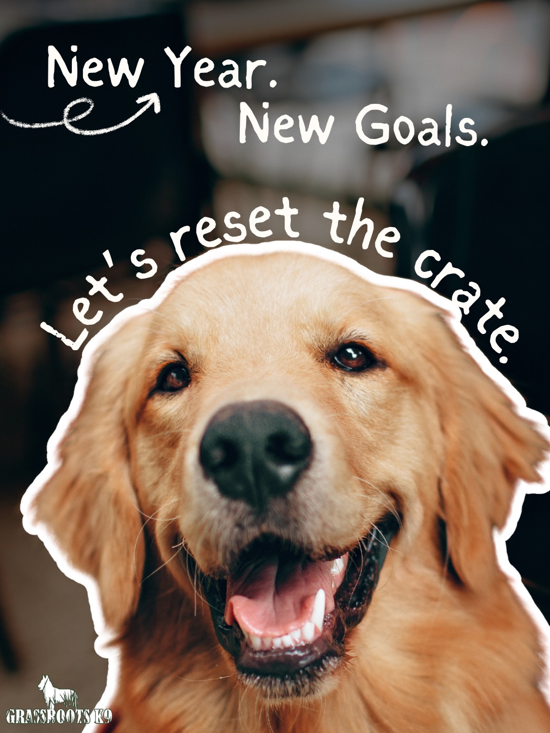 ✨ New Year. New Goals. ✨
Let’s reset the crate conversation.
The crate isn’t punishment —
it’s structure, safety, and clarity.
When used correctly, the crate:
• Builds calmness
• Encourages independence
• Supports better behavior overall
The problem?
Inconsistency creates frustration.
The crate only works when it’s introduced, conditioned, and used with purpose.
The goal:
A dog that can settle, decompress, and switch off on command — without stress.
If crate training feels like a battle right now, you’re not alone. Most issues come down to how it’s being used, not the crate itself.
📅 Start the year right with a free evaluation and learn how to use the crate the right way for your dog.
#NewYearNewGoals #CrateTrainingDoneRight #StructureCreatesFreedom #GrassrootsK9 #CalmDogs #BalancedTraining #DogTrainingTruths