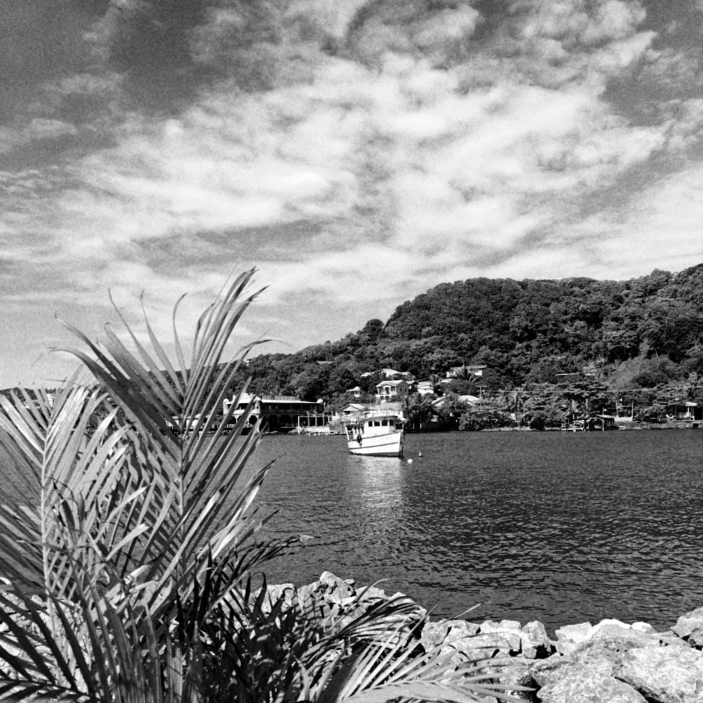 Roatán, Honduras, 2025
We crossed sea and sky to find time together, carving out pockets in places where reality had no sway. An island nested in endless blue, Roatán was a place that was weightlessly free of expectation. We walked the streets for a while, our nature as tourists painted in neon above us, before stopping for beers by the water. Always knowing this could be the last link in our chain of memories, but never saying it, understanding that the words would tarnish the shine.
•
•
•
•
•
#writersofinstagram #amwriting #writerscommunity #bookish #travelphotography #wanderlust #traveldiaries #bibliophile #bw #blackandwhitephotography #roatan #honduras