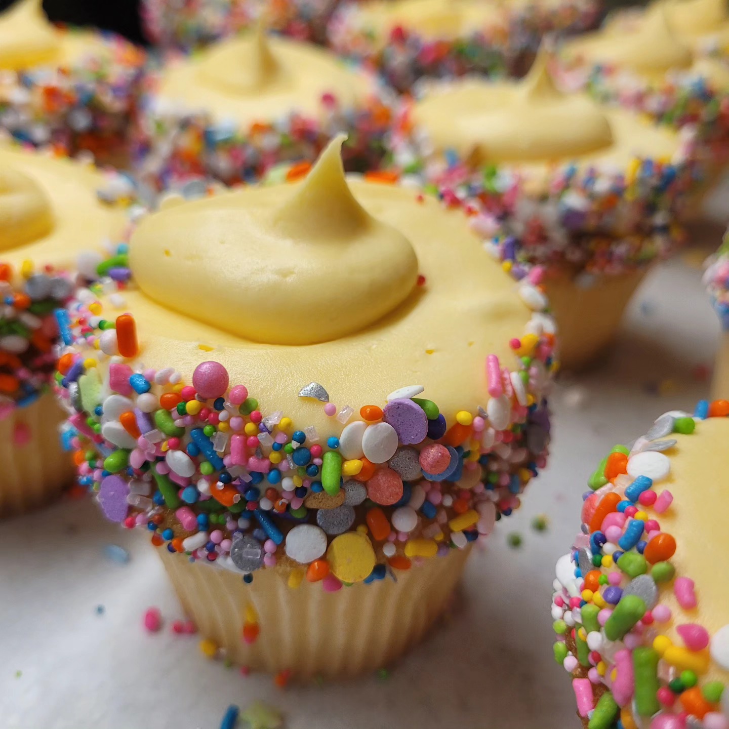 Citrus Buttercream Cupcakes in the showcase today! 🍊🍈🍋🧁 #cupcakes #bakery #yummy #tifton #downtowntifton #buttercream #scratchbakery