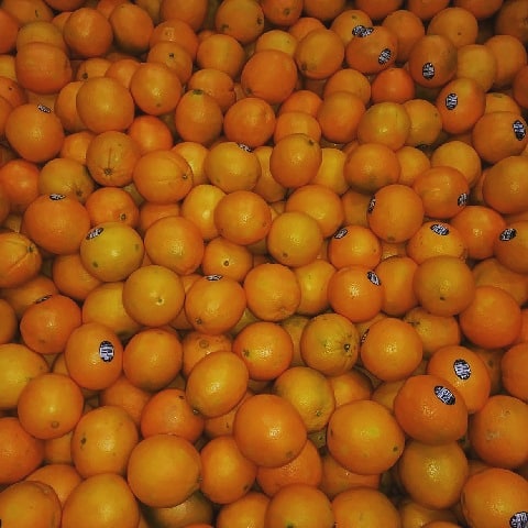 Loads and loads of 🍊 🍊 🍊!!! #oranges #newharvest #SGSProduce