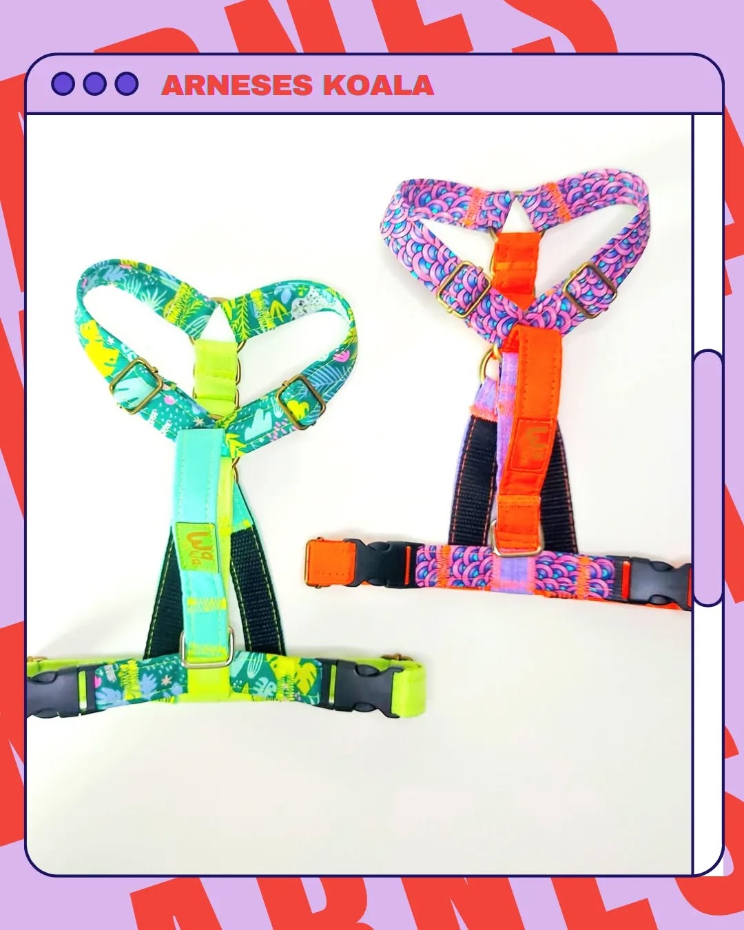 ¿ con cuál sales hoy de paseo ? 👀🐾😍
▪︎ Arneses Koala ▪︎
🐾 Arnés Ergonómico, mayor comodidad en movimiento natural de cuello y escápulas de tu wawi🐕
🐾 Anilla de enganche triple ▪︎ 2 en lomo y 1 en pecho ▪︎ 💣
🐾 Ajustable en pecho y cuello 🍉
🐾 Doble hebilla de ajuste en pecho 🔥
🐾 V invertida en guatita para mejor estabilidad del arnés ( ayuda a que no se gire ) 💥
🐾 Largo de pecho ajustable 🍍
Combinalo con correa y collar para un conjunto bombi bombi 💥💣😎
Disponible en nuestra web 👉 Ya la viste ? Link en nuestra bio 💗🐾
#arnesparaperros #arnesperro #perroschilenos #pewoschile #perrihijos #perrosfelices #perrosdeinstagram #dogloverchile #paseosperrunos #accesoriosparaperros #petfriendly #mamaperruna #dogslife #paramascotas