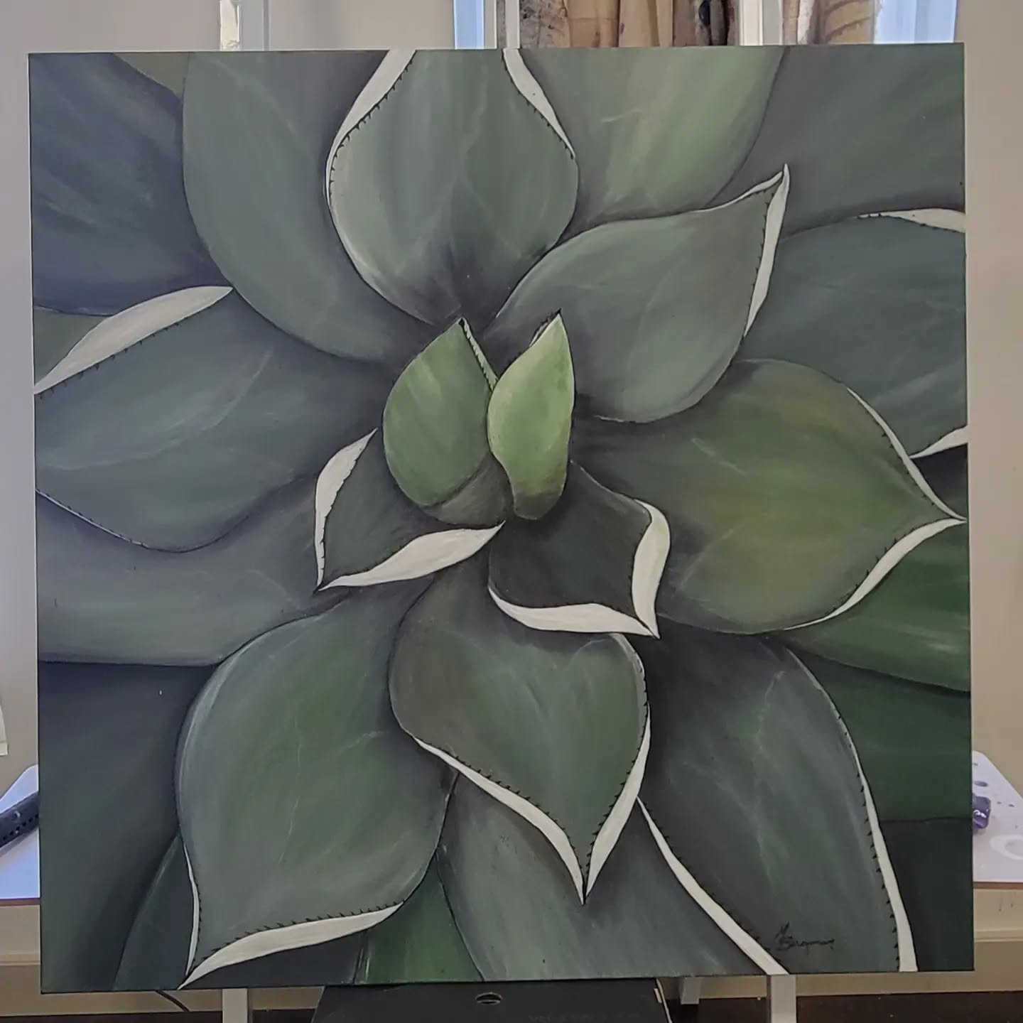 AGAVE 3
36"x36" acrylic on canvas
My favorite so far!