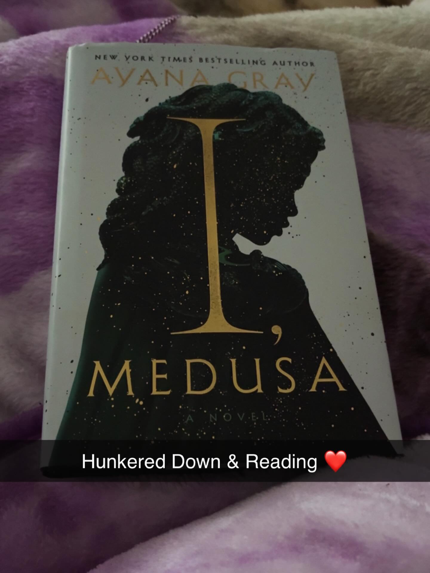 Curled up with a good book is chef’s kiss. 💋
I did a little research before starting this book because I wanted to comprehend this re-telling and all the nuggets it will expose. #IMesusa #winterstorm2026 #currentread