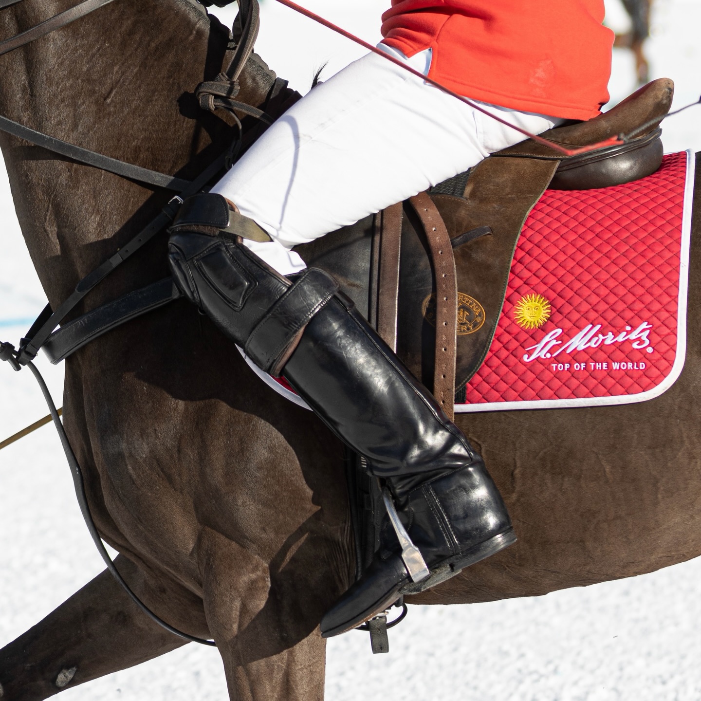 So good to be back in St Moritz, and thank you to our friends at @royalsalute for a high altitude tasting dinner with a difference hosted by none other than @malcolmborwick, where we toasted the impeccable Coronation of King Charles III whisky 🥃 . Action 📸 by @samuelmchurchill. 🇨🇭 ❄️ 🐎 #salutethegame #royalsalute #britishpoloday