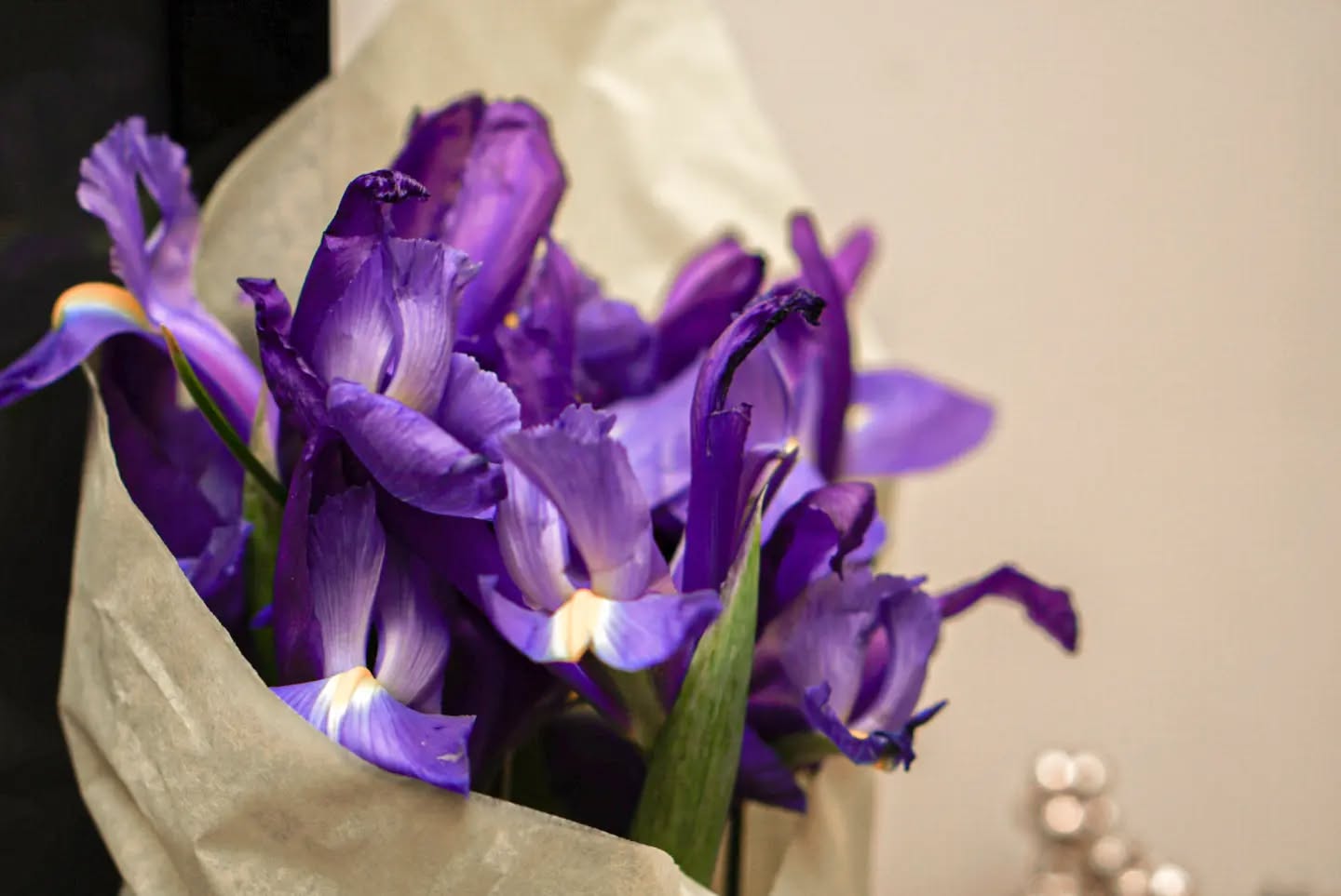 We experienced a loss in our family and received flowers from one of our families.
#montessori #torontomontessori #torontomoms #toronto #torontolife #torontochildcare #discovergreenmontessori #leslieville #leslievilletoronto #danforth #danforth #scarborough #distillerydistricttoronto #torontokids #torontobabies #torontodads #torontoparents #torontoblogger #torontocanada #eastyorktoronto #thedanforth #torontoforestschool #scarboroughmoms #torontomommies #torontofun #torontomom #torontomama #torontomamas #torontofamily #torontobaby