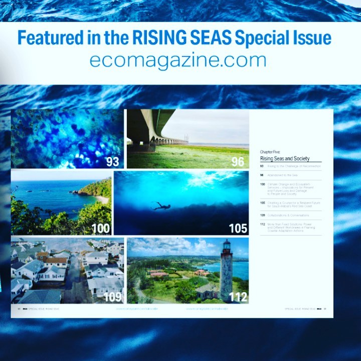 Featuring in the latest digital special edition on Rising Seas by ECO magazine - Rising to the challenge of reconnection including digital version of #catchingawave by @c_tarquini and @studiocrtq
Link to bio πππππ
#notjustaprettywave #reconnecting #collaborations #coasts #oceans #artscience #catchingawave