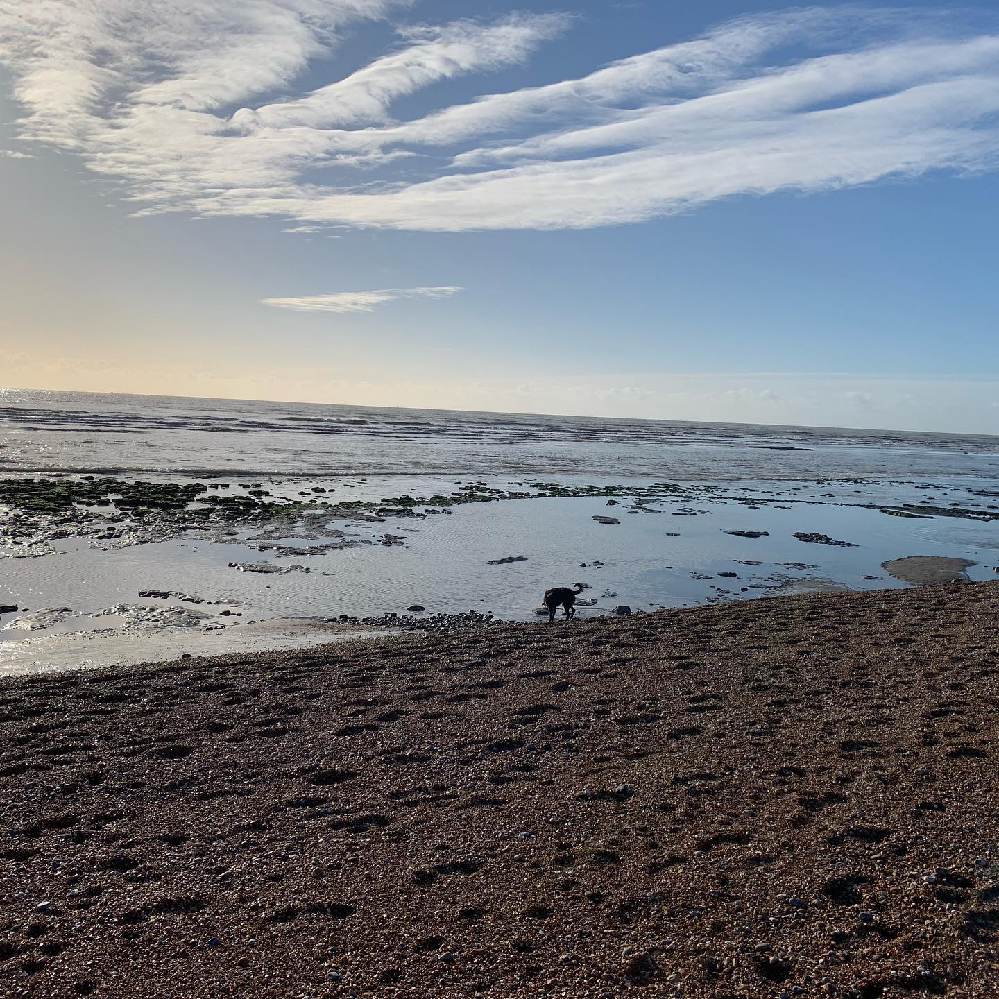 Winter coastal walk. Lovely wandering along the beach today in the sunshine - the tide was out and dogs and children were splashing around in the shallows. Everyone enjoying a sunny January Sunday! #castlemanscottages #holidaycottage #selfcatering #staycation #homefromhome #weekendbreaks #shortbreaks #dogfriendly #bexhill #eastsussexcoast #ukcoastline #visitsedlescombe #visiteastsussex #visitkent #1066country