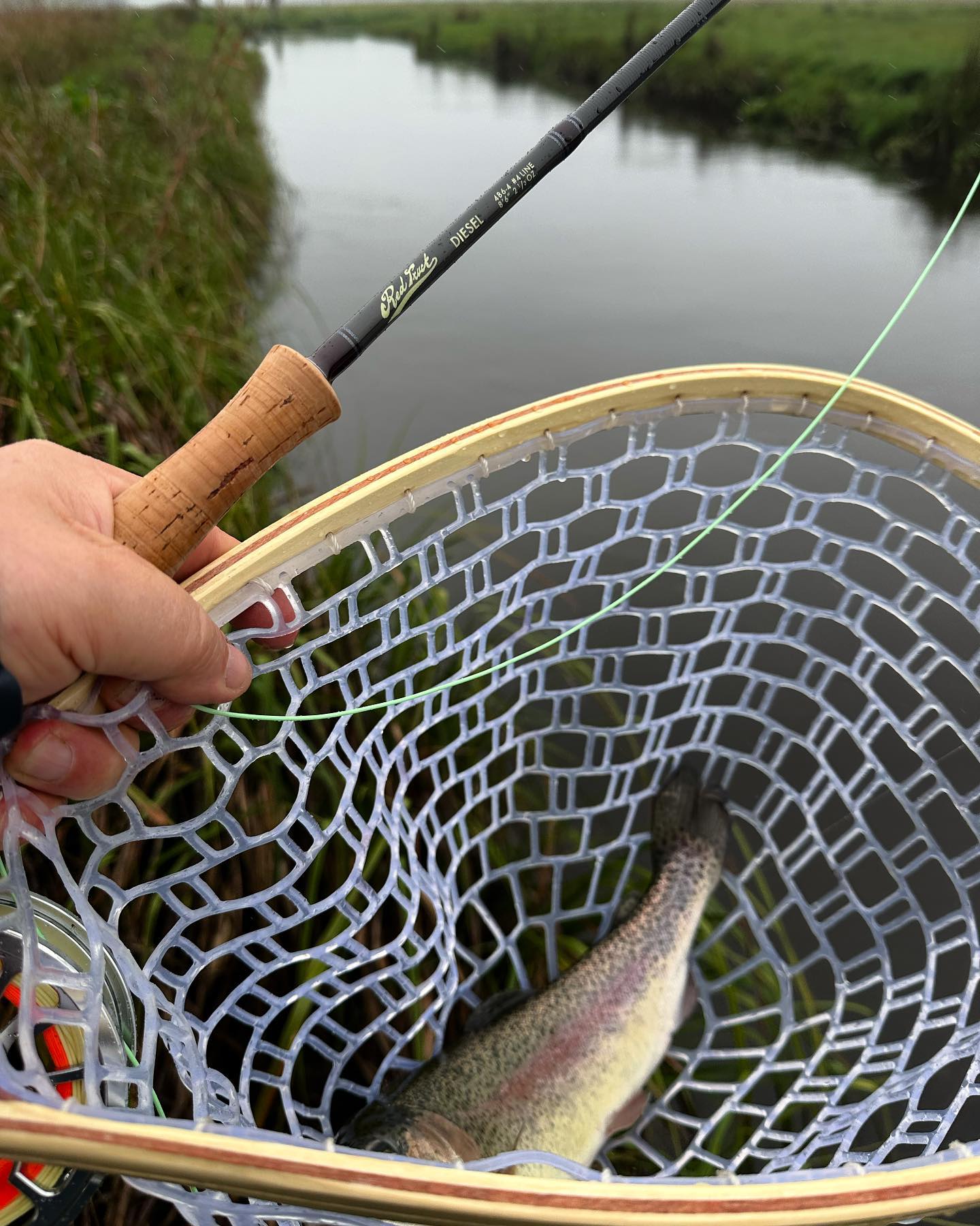 Very tough conditions today with cold and wet weather but the @redtruckflyfishing rod delivered again. The rod of choice today was the Diesel 486-4. It delicately delivered dry flies to some very fussy trout. www.geartruck.com.au @gear.truck #redtruckflyfishing #redtruckflyrods #dieselflyrods #flyfishing #flyfishingaustralia #flylife #trouthunting #dryflyfishing #dryfly #rainbowtrout