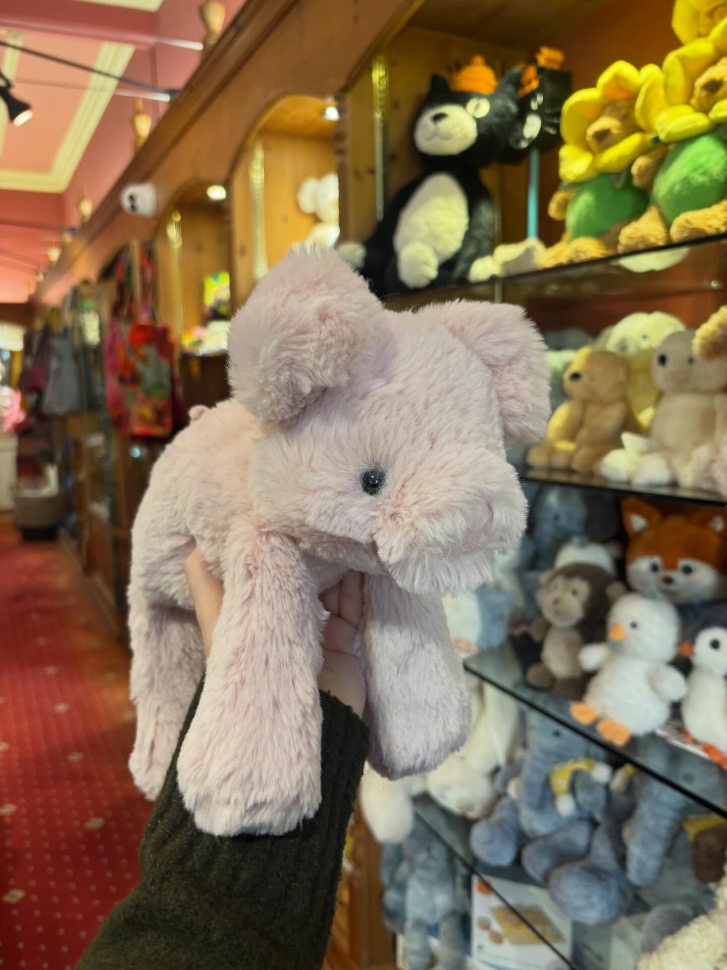 Swipe to see the new Jellycats available in our gift shop!🧸
Here are each of the new Jellycats we now have in stock in our shop🤩
Please feel welcome to ask any questions regarding their availability, however- we will not be taking reservations for any of the Jellycats✨
