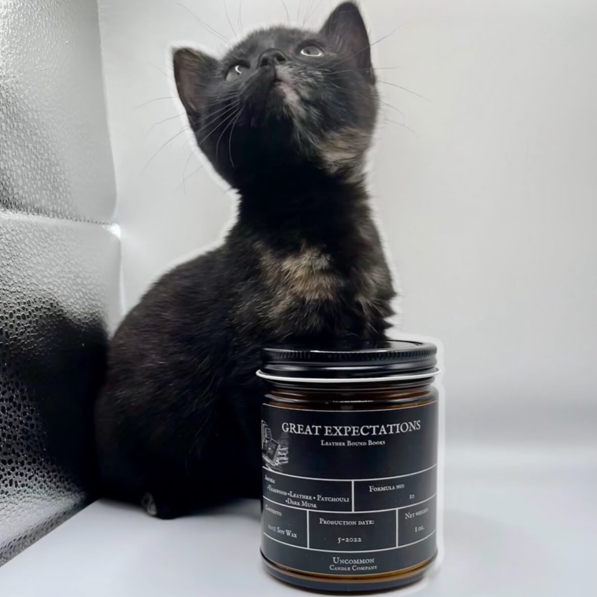 Moody. Woodsy. Complex.
Great Expectations is a deep blend of teakwood, leather, patchouli, and dark musk.
100% Soy • Strong throw • Like getting lost in the pages and the quiet of a bookstore.
Formula no. 11
#handmadecandles #shophandmade #candlemaking #soycandle