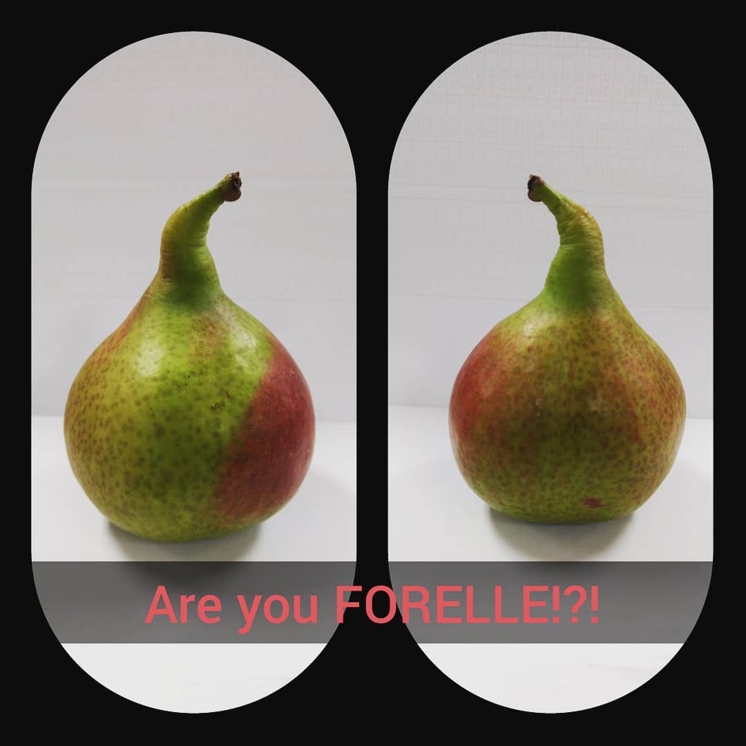 #forelle #pear #pearfruit #fruit #SGSProduce #forellepear