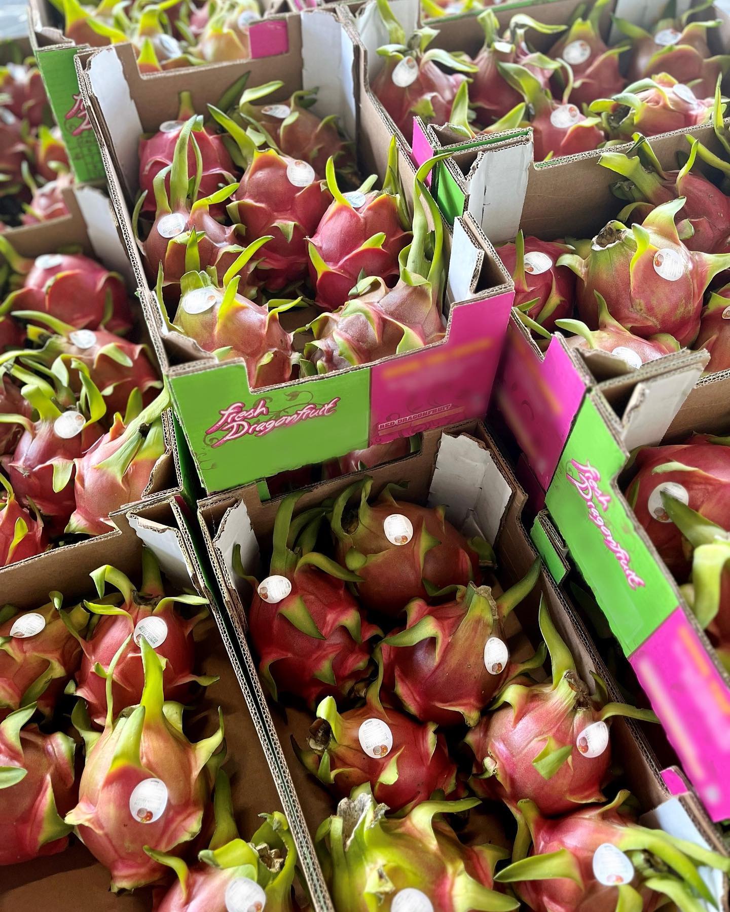 𝒟𝓇𝒶𝑔𝑜𝓃𝒻𝓇𝓊𝒾𝓉
•Low in calories, yet rich in antioxidants and loaded with vitamins C, B, +.
•Dragonfruit belongs to the cactus family.
•Dragonfruit grows on trees up to 20 feet tall with night blooming flowers.
#healthy #produce #dtla #organic #healthyliving #foodasmedicine #fresh #freshfood #supportlocal #shoplocal #wholesale #wholesaleproduce