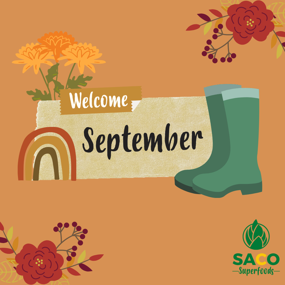🍒 Happy National Organic Month all! 🍒
This month is campaigned by the Soil Association to encourage organic eating and bring awareness to the benefits of it.
So why not try some of our #sacosuperfoods this month 🤗
All of our products are #organic #ethicallysourced #sustainable and #environmentally friendly 🌎💙
Checkout the link in our bio to see our products and read about our trip to the ivory coast to learn more about our producers.
#september #septembersun #smallbuisnessseptember
#septembervibes #septembermood #septemberfirst #september22 #september2022 #autumn #autumnvibes #autumnvibes🍁 #autumncolours #autumnal #autumn🍁 #autumntime #autumnishere #autumnseason #autumn2022 #fall #fallvibes #fallready #fallcolours #helloautumn #helloautumn🍁🍂 #sacosuperfoods