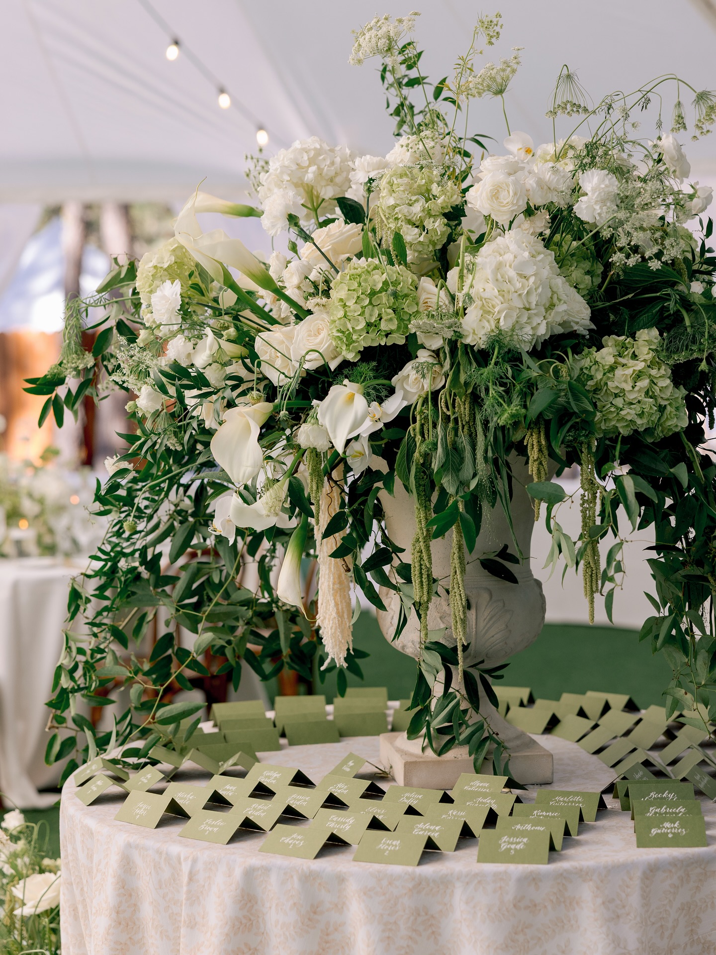 Beauty in every detail
📷: @heatherkincaidphoto
