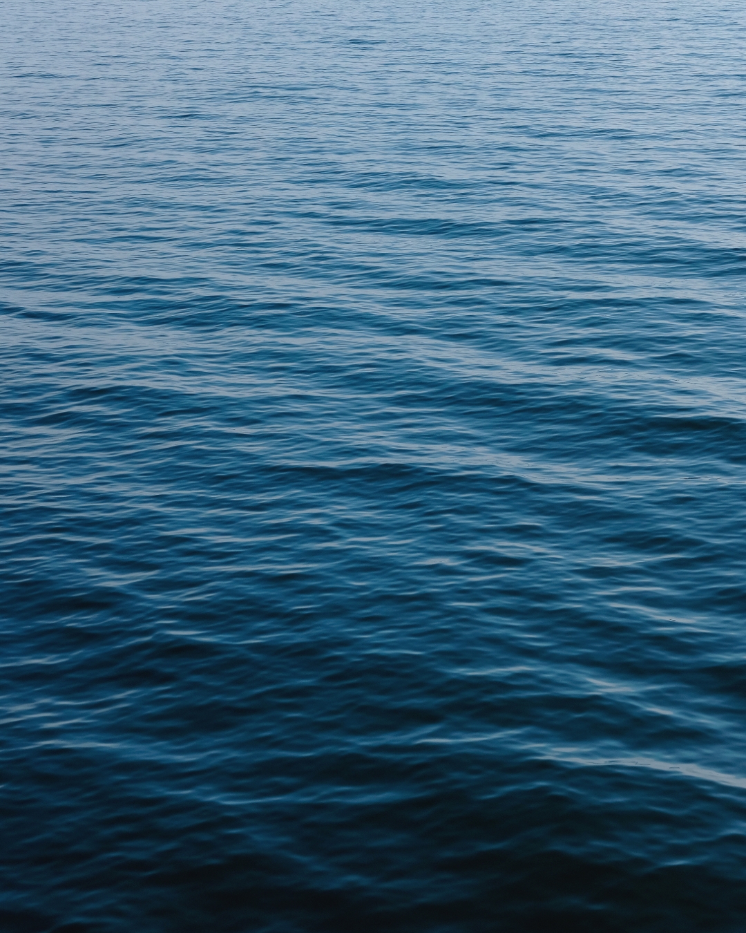 What is biotech skincare?
By using only a small amount of red algae from the ocean and re-growing it in a lab we create a natural ingredient that is more efficient and stable without costing the earth.
Metabolic boost for your cells:
Formulated with Jania Rubens accelerating mitochondrial detox and cellular metabolism, this algae supports collagen synthesis, elasticity and skin smoothness.