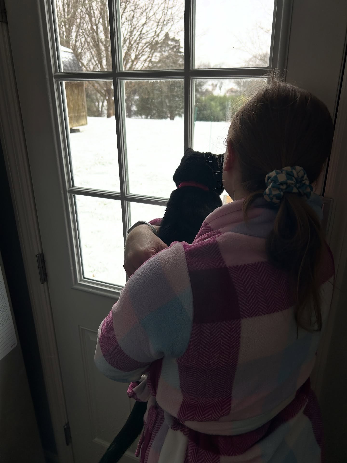 Enjoying a rare Nashville Snow Day that is now turning to an Ice day ☃️❄️➡️🥶🧊
Y’all inside or outside today?! 🛷
#snow #blizzard #nashville #cold #snowday #freezing #staysafe #winter #colderweather #snowedin
#staysafe #home #winterwonderland #snowman #outdoors #letitsnow #cat #cats_of_instagram #wife #bourbon #country #countrymusic #kids #staywarm #family #january #2026 #singersongwriter #singer #fyp #wynners