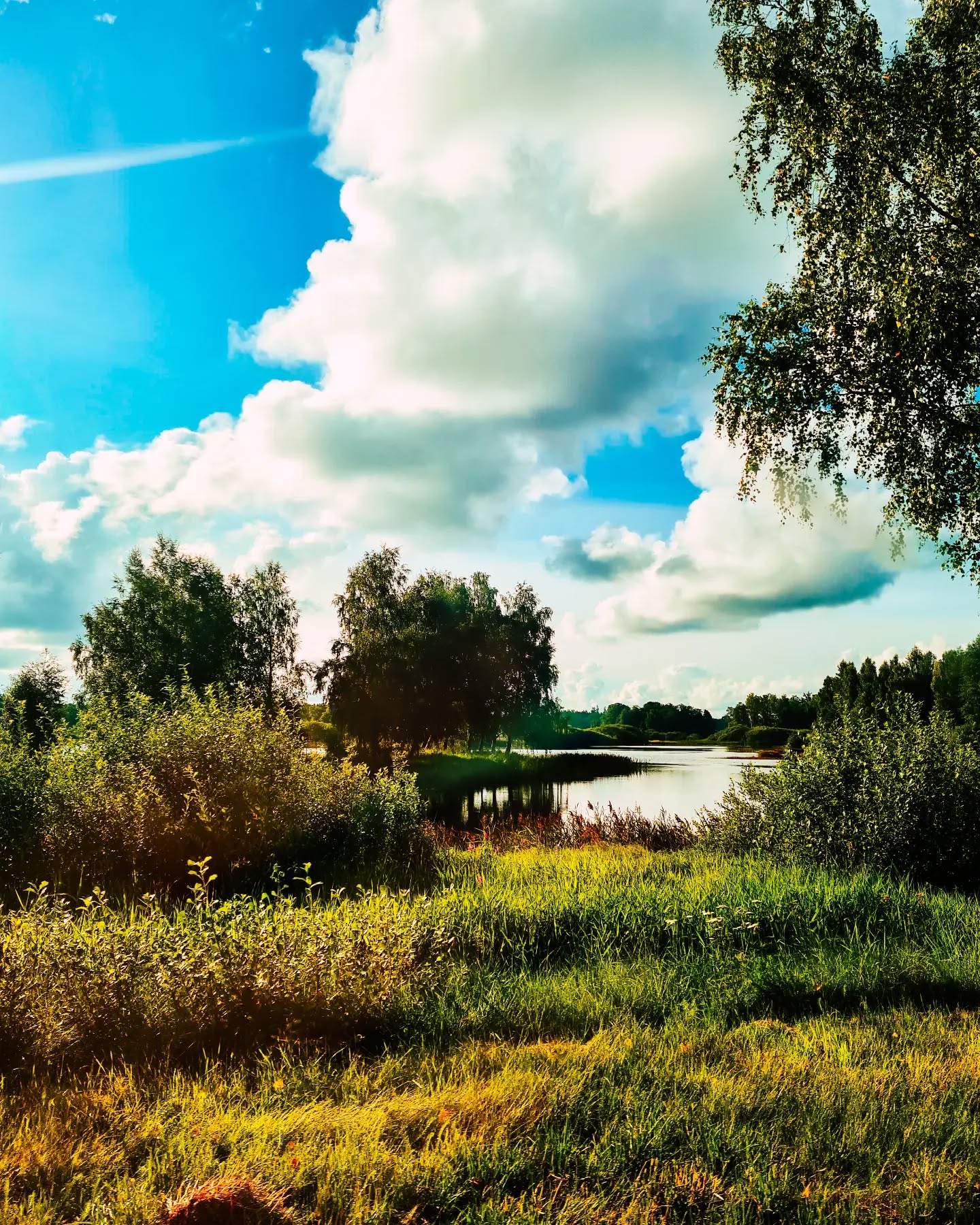 Can't help but love this view everytime I see it. Lakes, ruins, trees, rocks, and endless skies, it is always the most calming sight for me.
.
.
#småland
#postitandsmile #vrigstad #visitsmåland #makesmesmile #aseasonalyear #visitsweden #seeksimplicity #slowandsimpledays