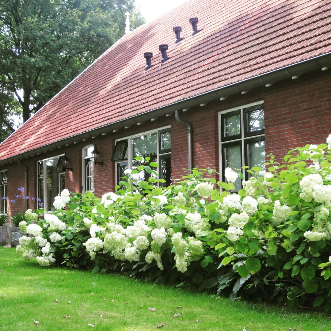 Landelijke tuinen