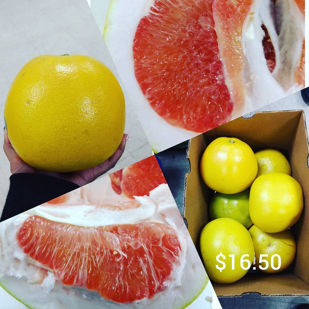 #SGSProduce #pummelo #6count #20lbs #pinkfruit #citrus #pomelo