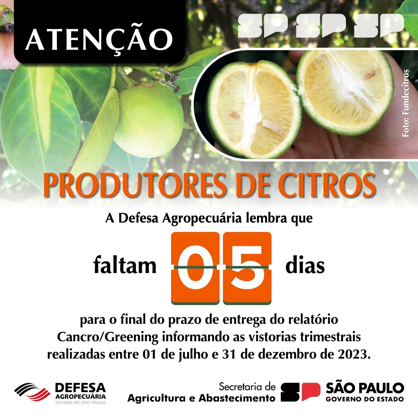 Relatório Cancro/Greening,