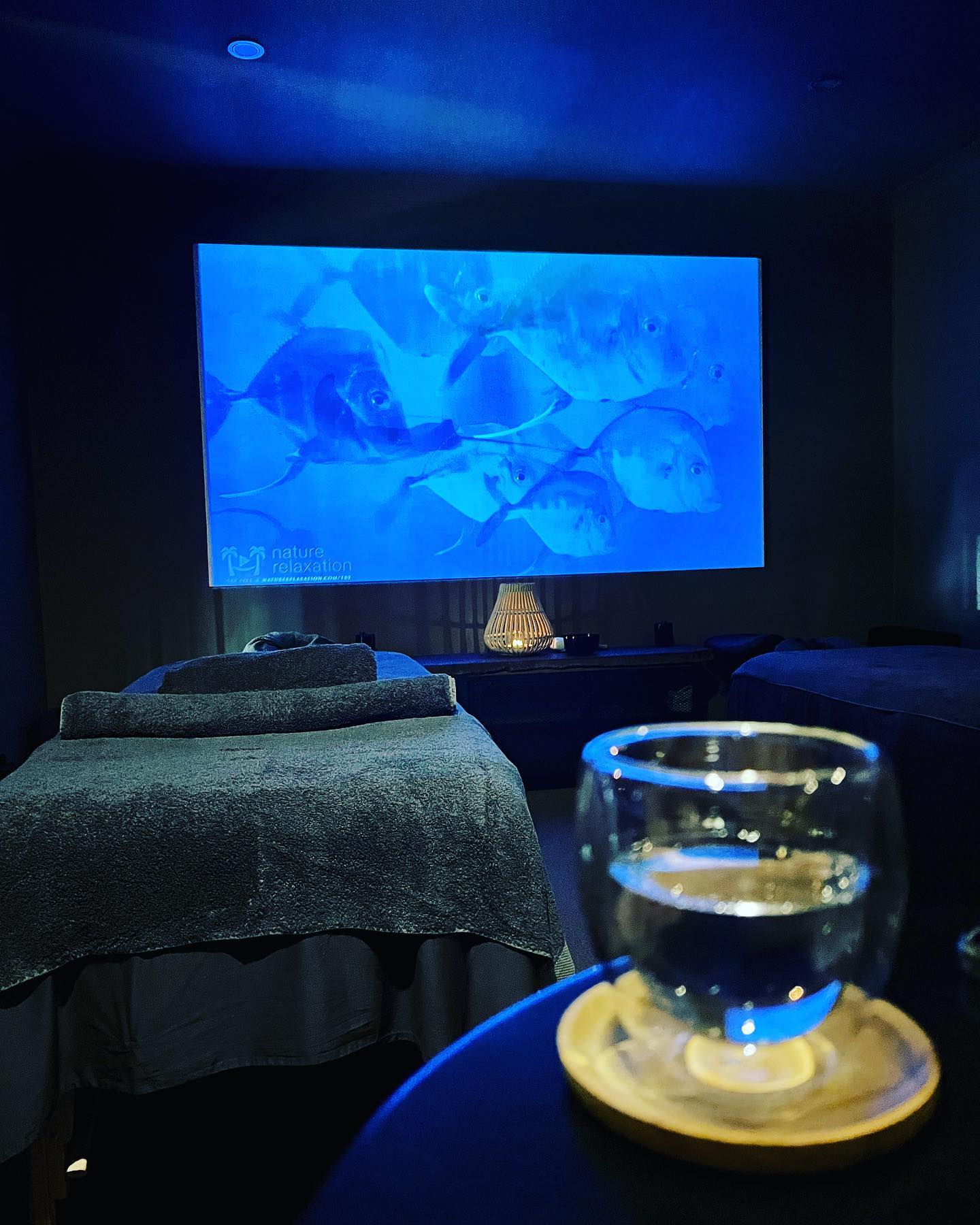 While staying at Fyrefly Retreat, we highly recommend a visit to Organic Spa & Space Aum⦠book ahead to make sure you get a spot. www.organicaum.com
@organicaum
#massage #dayspa #scenicrim #indulge #beechmont #relaxing
