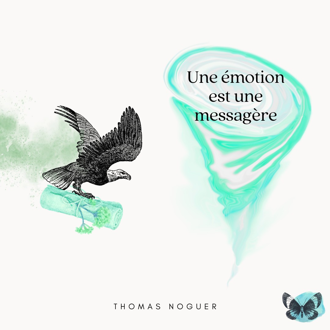 Teaser du prochain post sur le thème des #émotions !
Une notion essentielle dans la Communication Non-Violente #CNV qui m'a beaucoup aidée dans mon développement est de voir une émotion comme porteuse d'un message.
Une émotion arrive pour une raison spécifique, pour dire quelque chose, elle a une fonction.
Prendre conscience de ceci permet d'accueillir ses émotions avec plus de soin et d'efficacité.
Une émotion qui ne peut pas délivrer son message va grandir. Parfois certaines émotions ne sont jamais reçues pleinement et restent cachées dans son corps sous forme de douleurs physiologiques.
Rendez-vous au prochain post pour en savoir plus et apprendre à voir vos émotions comme des alliées !
#intelligenceemotionnelle #coaching