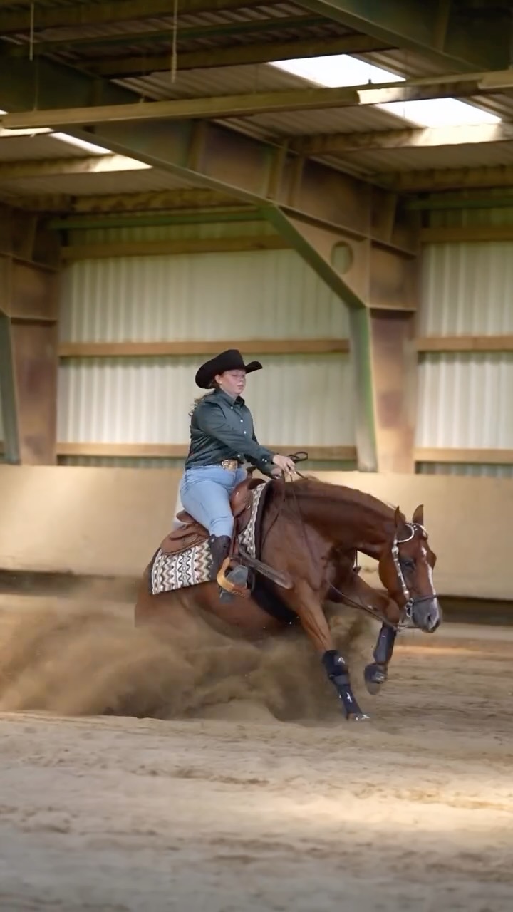 We can’t wait for show season to begin ✨
BIGSTAR CROME
2020 gelding by ARC Gunnabeabigstar out of Custom Rome
owned by Fabian Strebel
bred by LQH
#LEPH #LucieEgenterPerformanceHorses #NRHA