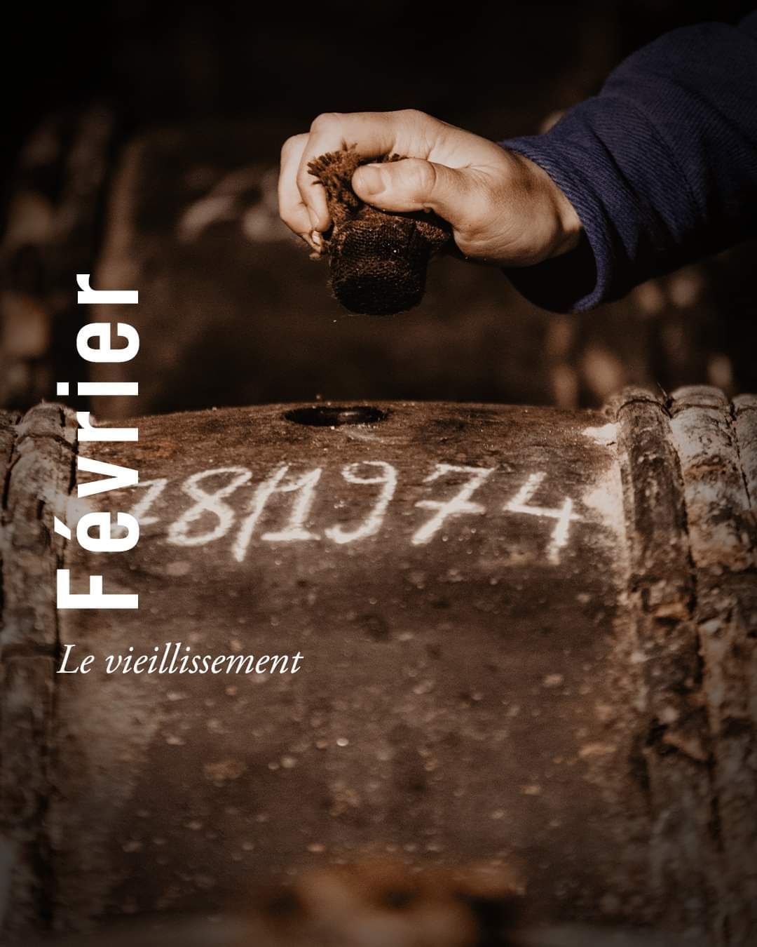 Le processus de vieillissement est une danse subtile entre le temps, le bois et le savoir-faire. 🥃
Après distillation, l'eau-de-vie est placée dans des fûts de chêne. L’origine du bois, son type de grain, l’humidité du chai, l’âge du fût, tout cela forme le terrain de jeu qui s’offre au maître de chai pour faire son « élevage », et créer son propre style.
Les Cognacs de différents âges et terroirs sont préservés avec un savoir-faire rare. Les gestes du maître de chai sont ceux d'un chef d'orchestre. C'est un acte de création unique.
Le Cognac est une célébration du temps et de la maîtrise.
#repost @cognac_official
-
The aging process is a dance between time, wood, and craftsmanship. 🥃
After distillation, the eau-de-vie is placed in oak barrels. The origin of the wood, its grain type, the humidity of the chai, the age of the barrel—all of these factors form the playground for the cellar master to conduct their "aging" process and create their own style.
Cognacs of different ages and terroirs are preserved with rare expertise. The actions of the cellar master resemble those of a conductor. It's an act of unique creation.
Cognac is a celebration of time and mastery.
#cognac #charente #charentes #spiritueux #spirits #cognacartisanal #vieillissement #savoirfaire
#handcrafted #craft
#TheGoldenAgeOfCognac
#JoinOurClub #gentleman #club
#cigar #knowledge