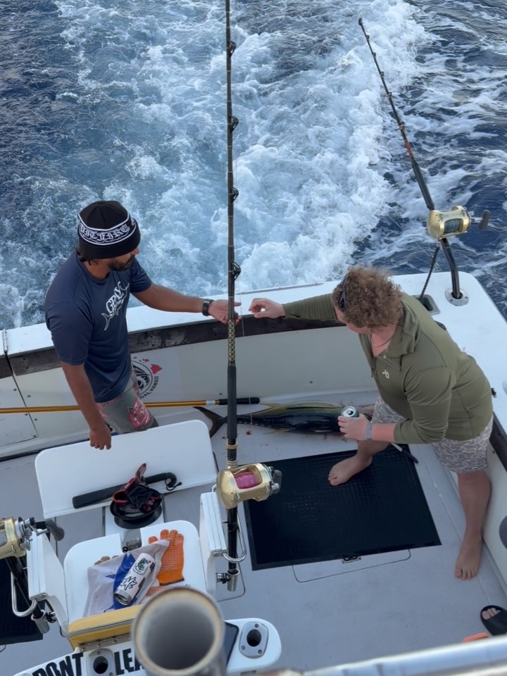 They came to us itching for redemption. After a charter on Oʻahu that came back empty-handed, they put their faith in the waters of the Pacific with us. Kauaʻi delivered.
Cooler maxed out. Tuna loaded. Faith officially restored.
And as per usual, the ceremonial tuna heart bite (eating) was proudly performed by @patrickcmcclurg — tradition upheld, fish gods satisfied.
If you’re looking to turn a slow trip into a fish story worth telling, you know who to call.
📞 Book your trip: +1 (808) 652-4556
🌐 gofishkauai.com
Hashtags:
#gofishkauai #kauaifishing #hawaiifishing #pacifictuna #tunafishing #sportfishing #deepseafishing #offshorefishing #islandfishing #bucketlistfishing #tightlines #fishkauai
