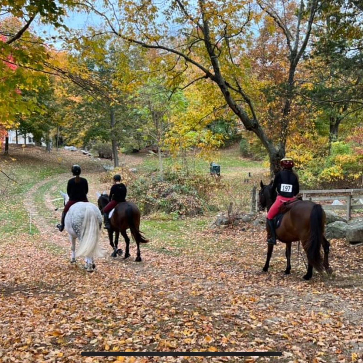 🎃👻🎃👻🎃👻🎃👻🎃
Get your costumes ready! The NBLA Frost on the Pumpkin Hunter Pace registration is open! Come ride for our historic 45th year. We will be including hot lunch, a tack sale, multiple vendors, camaraderie amongst horsey friends, a costume contest, multiple divisions, and of course a ride to remember through the beautiful trails of Newtown.
REGISTER HERE: https://www.eventbrite.com/e/frost-on-the-pumpkin-hunter-pace-tickets-727557613407
Enjoy the pace and help us preserve our trails; it’s a no brainer!
#NBLA #FotP #PreserveOurOpenSpace #TrailRide #HunterPace #FairfieldCountyEquestrians #FallRiding #SpookySeason #NewtownCT