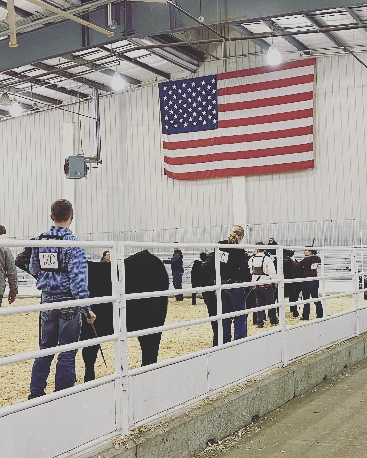 Blessed is the Nation whose God is the Lord ~ Psalm 33:12
Happy Independence Day 🇺🇸🧨
#independenceday #freedom #angus #ramilyranch #letfreedomring